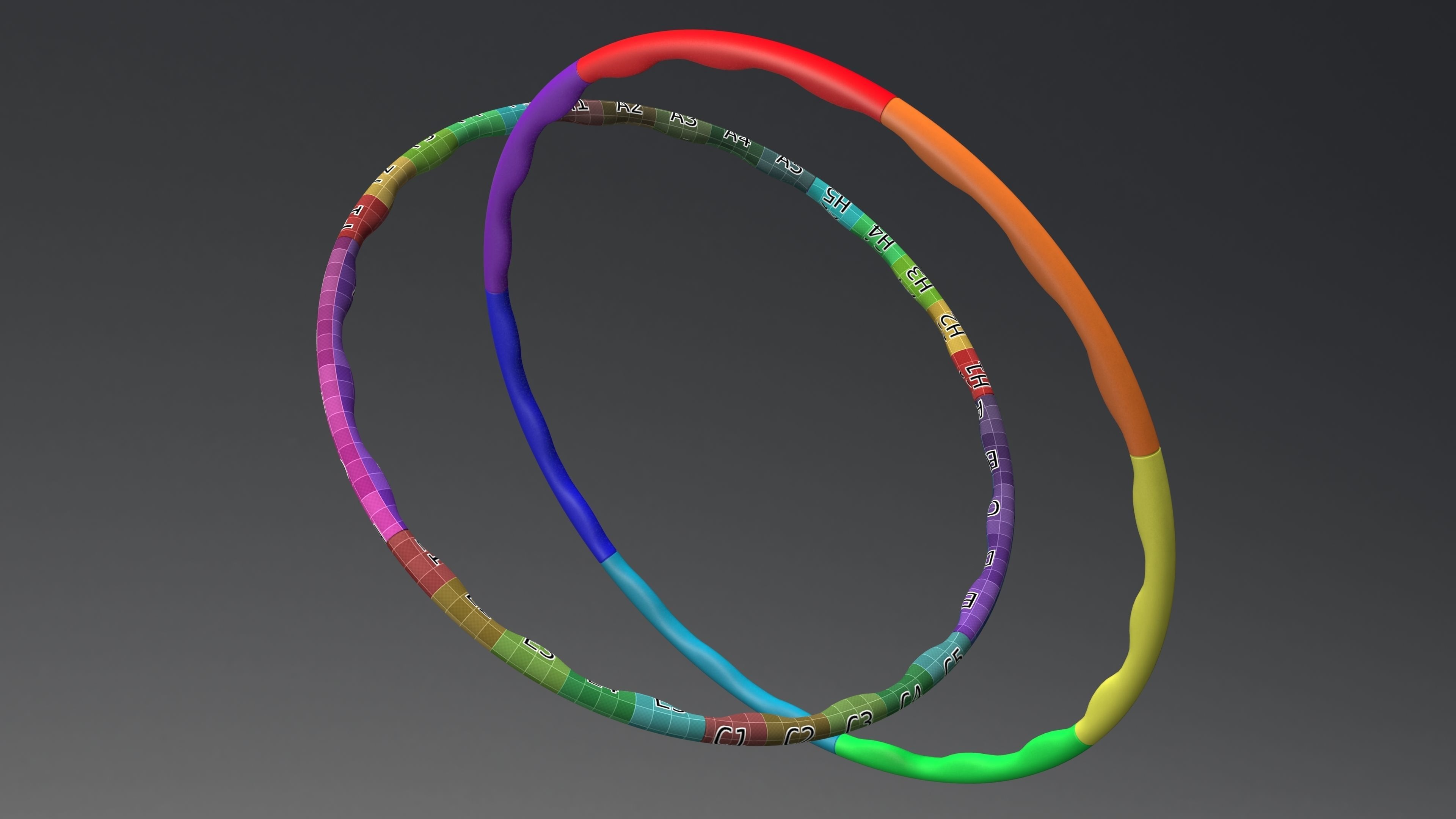 Hula Hoop 3D model_2
