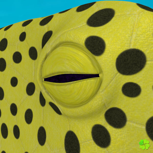 Boxfish yellow low poly Low-poly 3D model_4