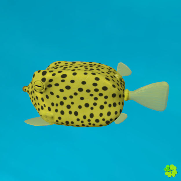 Boxfish yellow low poly Low-poly 3D model_8