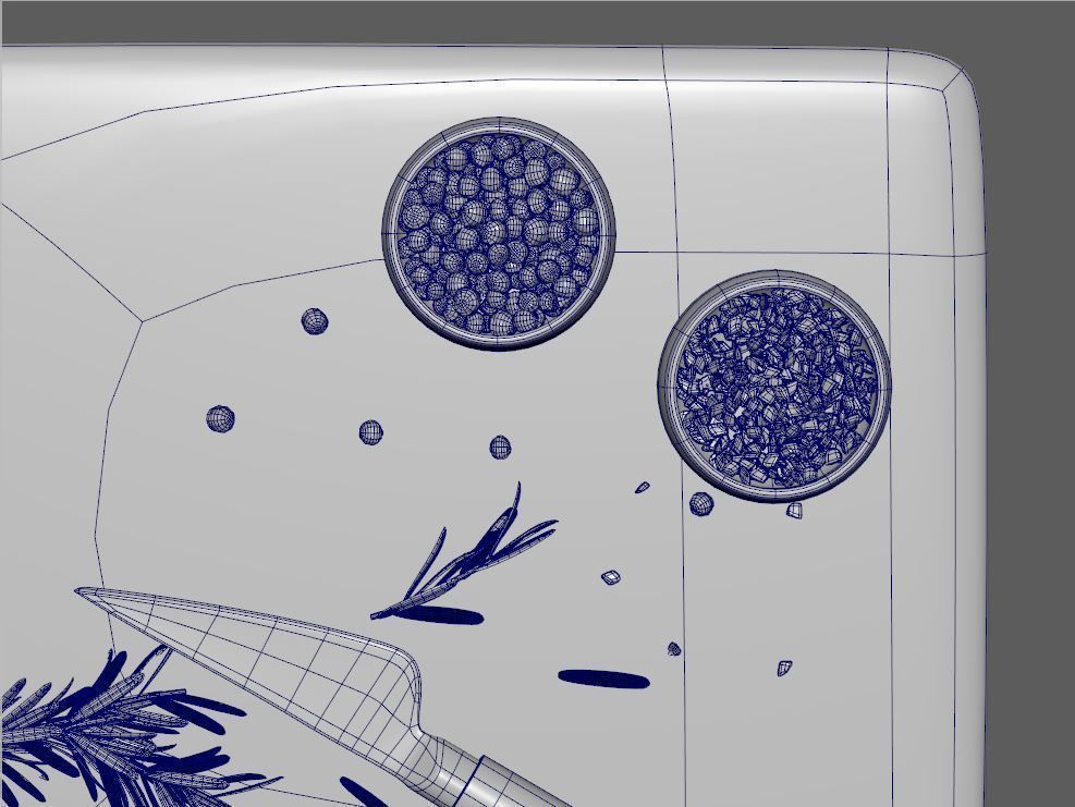 Olive Oil Seasonings Set 3D model_14