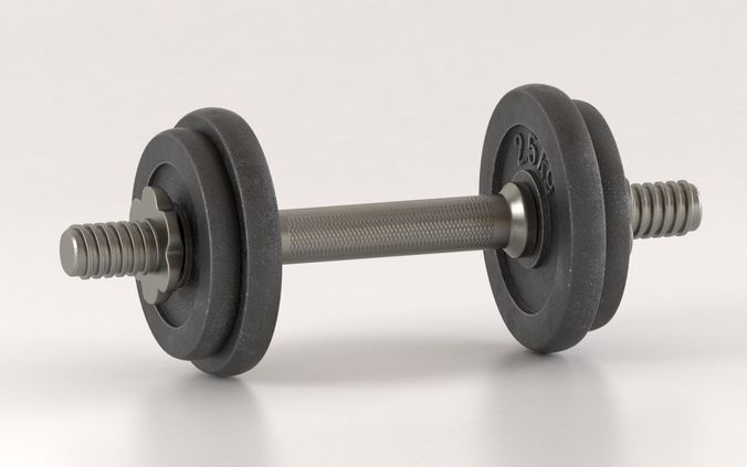 Metal Dumbell  3D model