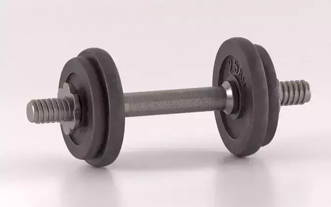 Metal Dumbell  3D model
