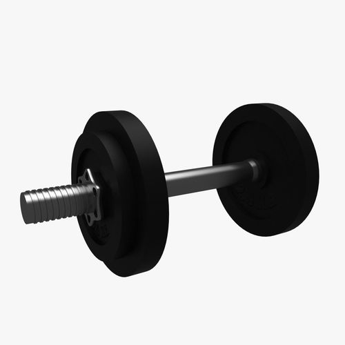 Dumbbell wheel with screw 3D model