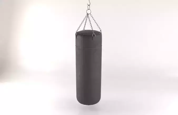 Leather Punching Bag 3D model