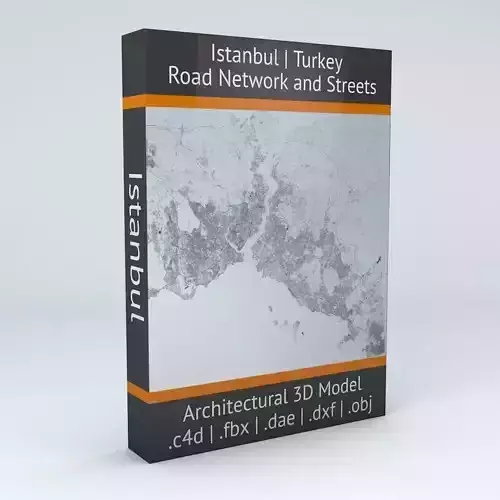Istanbul Road Network and Streets 3D model