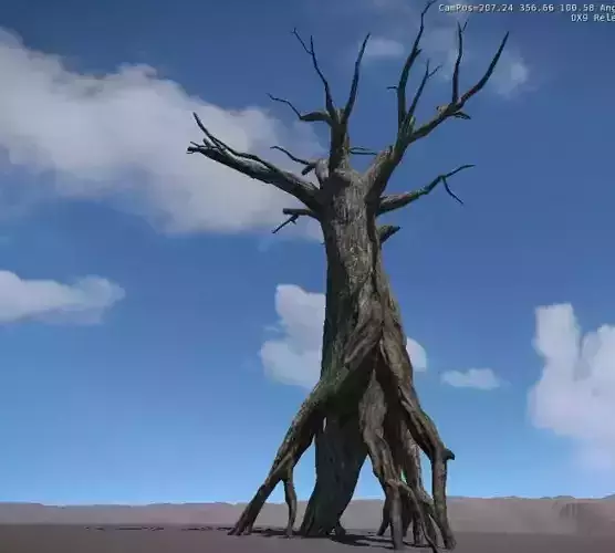 Ancient Tree V5