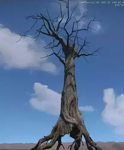 Ancient Tree V6