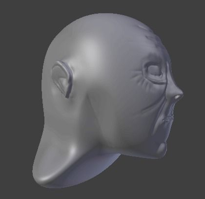Old Man Head High Poly Sculpt Free 3D model_1