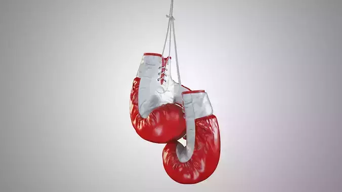 Boxing gloves 3D model