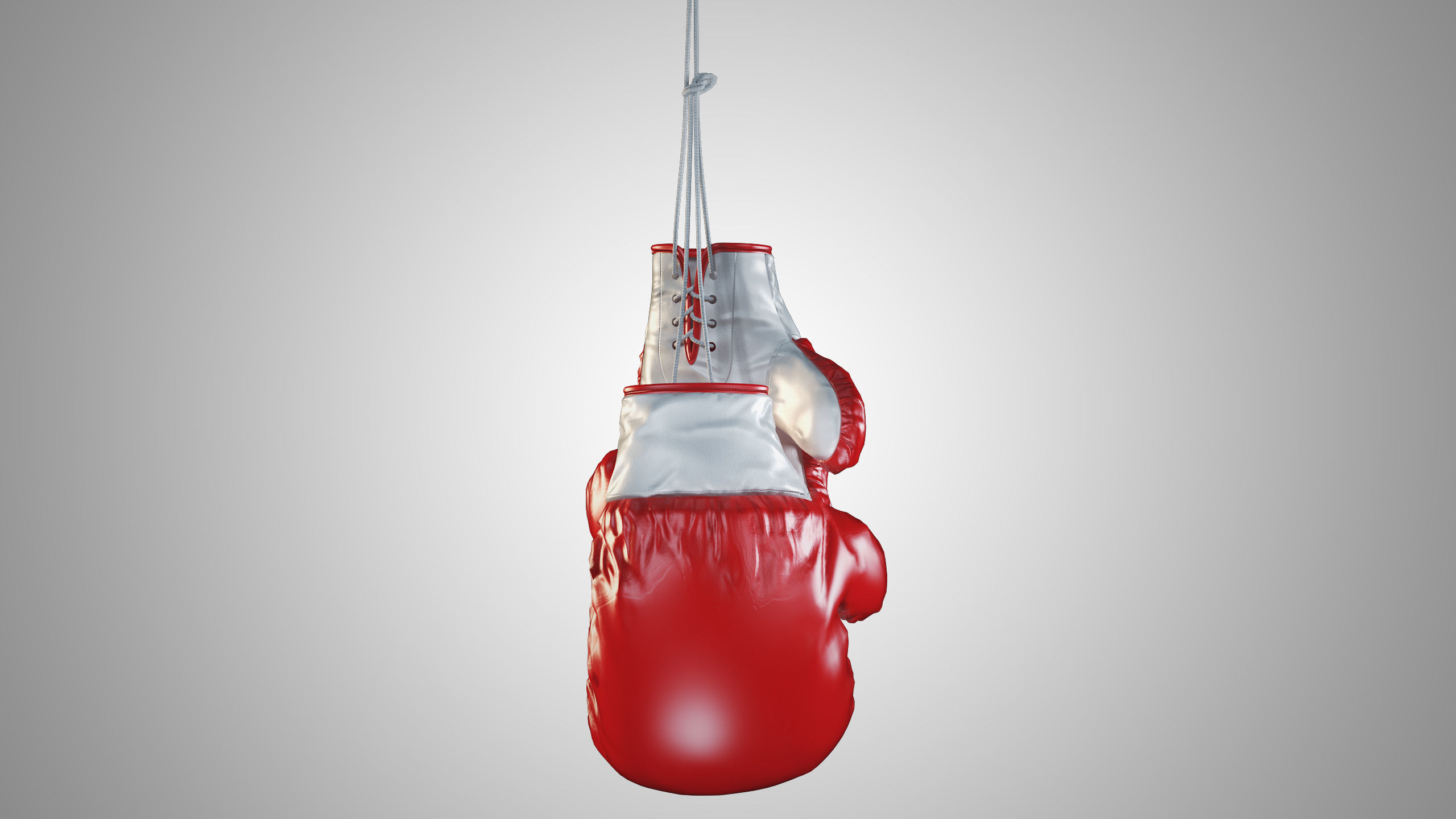Boxing gloves 3D model_4