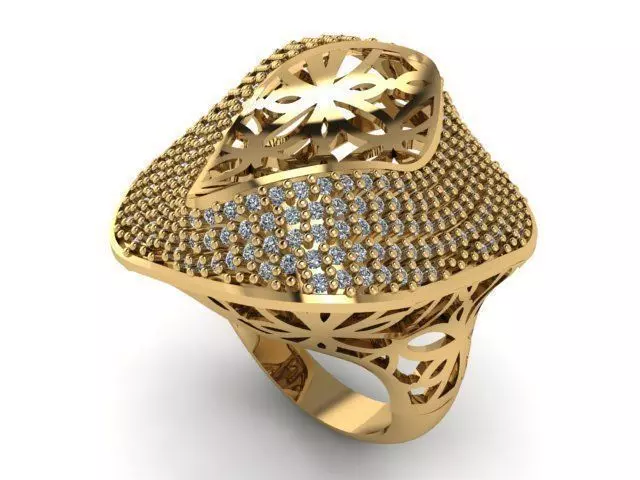 Ring R0250 3D print model_0