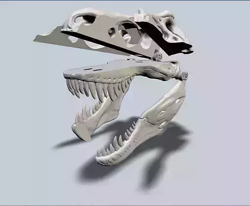 Exploded T-Rex Skull Free 3D print model