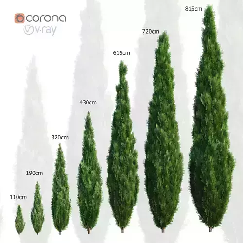 Thuya tree Set - 7 models 3D model