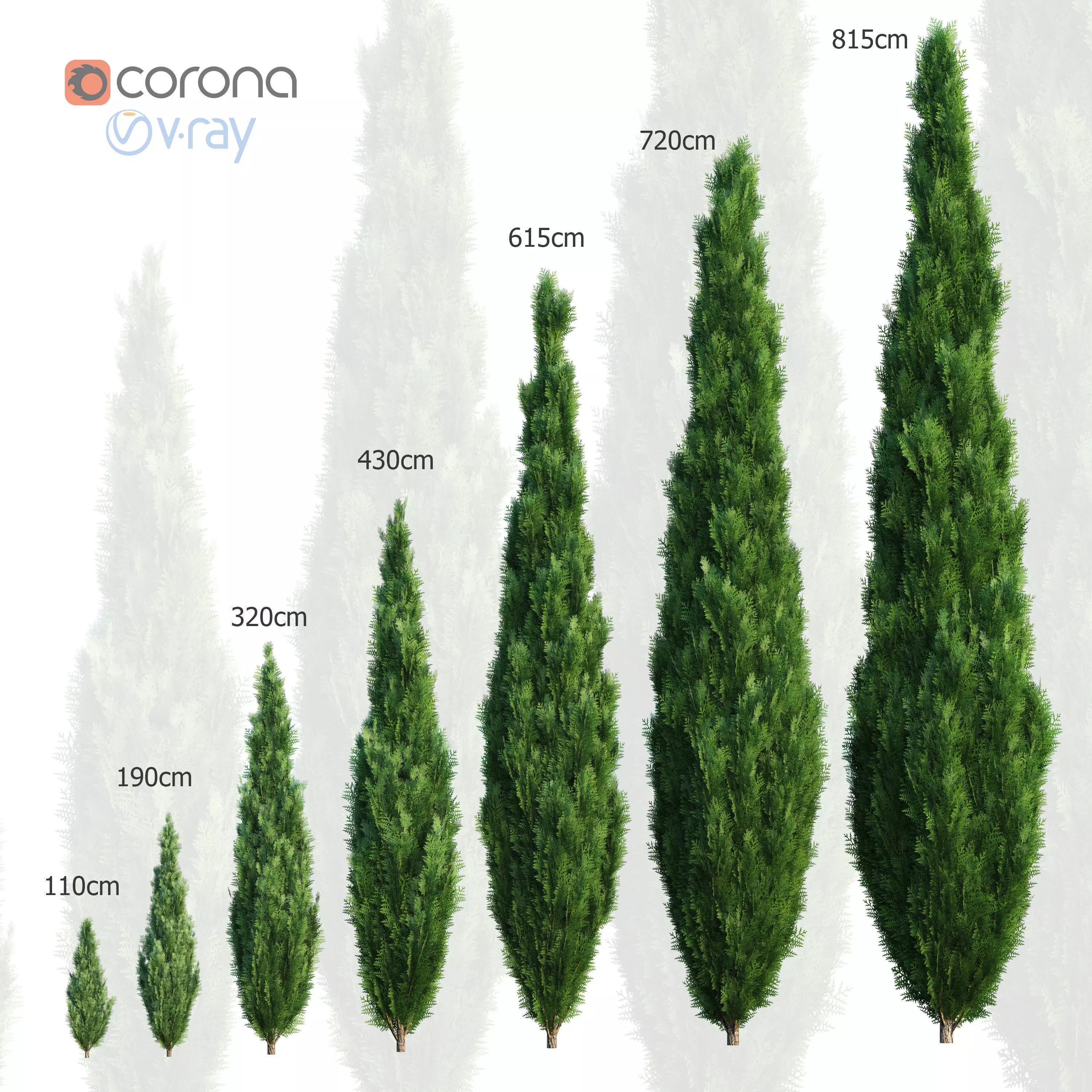 Thuya tree Set - 7 models 3D model_0