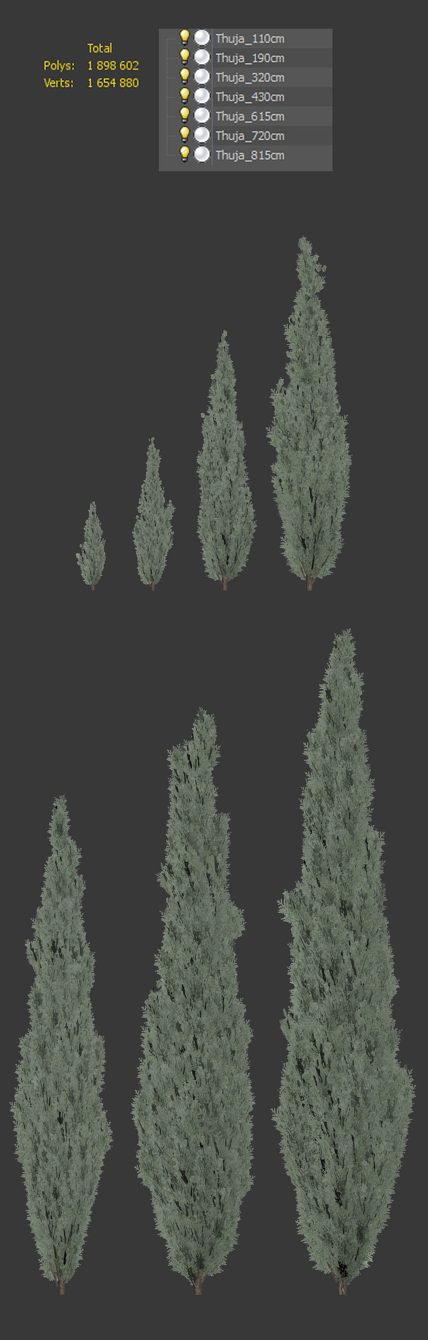 Thuya tree Set - 7 models 3D model_2