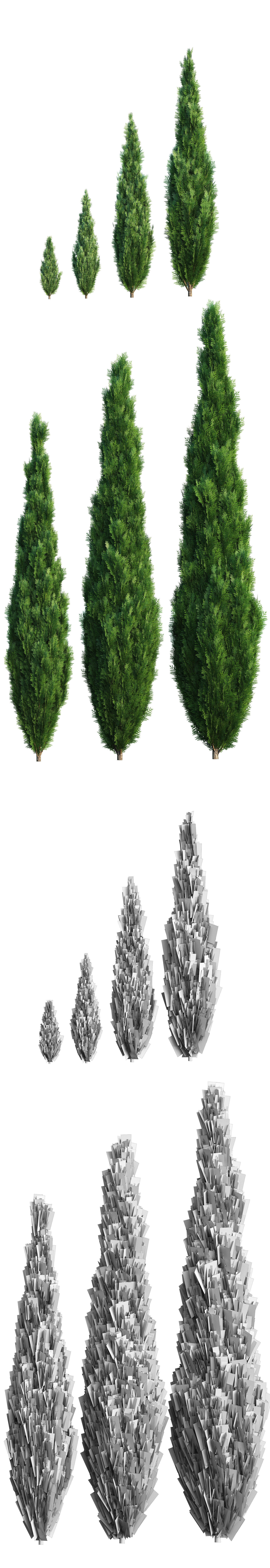 Thuya tree Set - 7 models 3D model_1