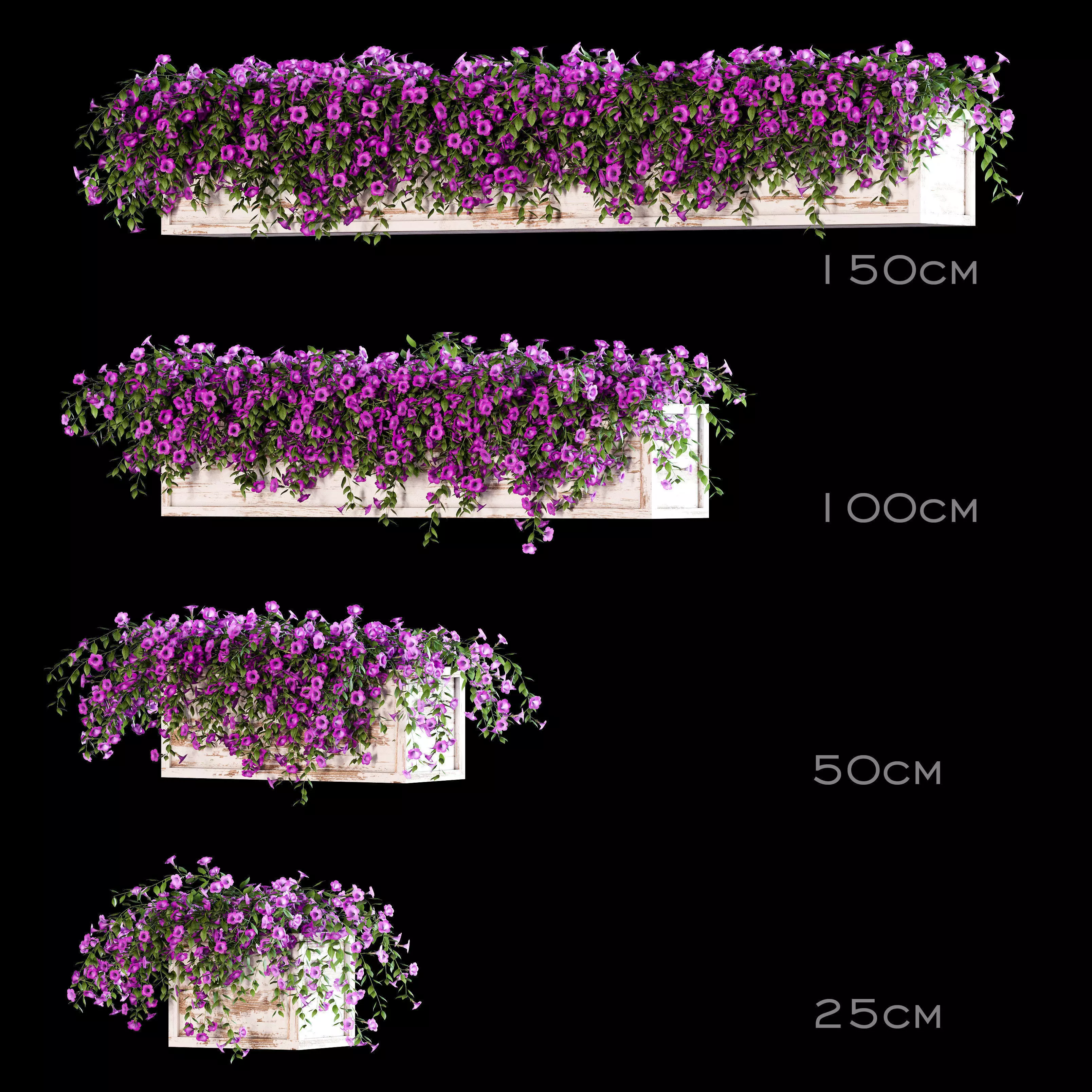 Flowers for the balcony - Petunia 3D model