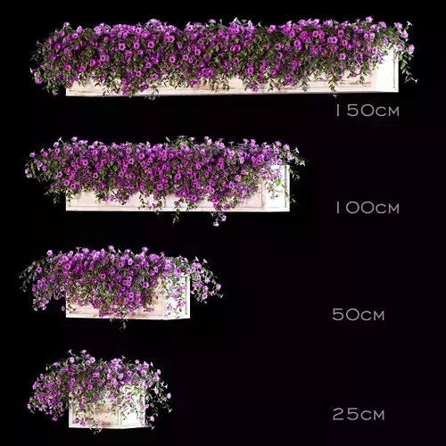Flowers for the balcony - Petunia 3D model