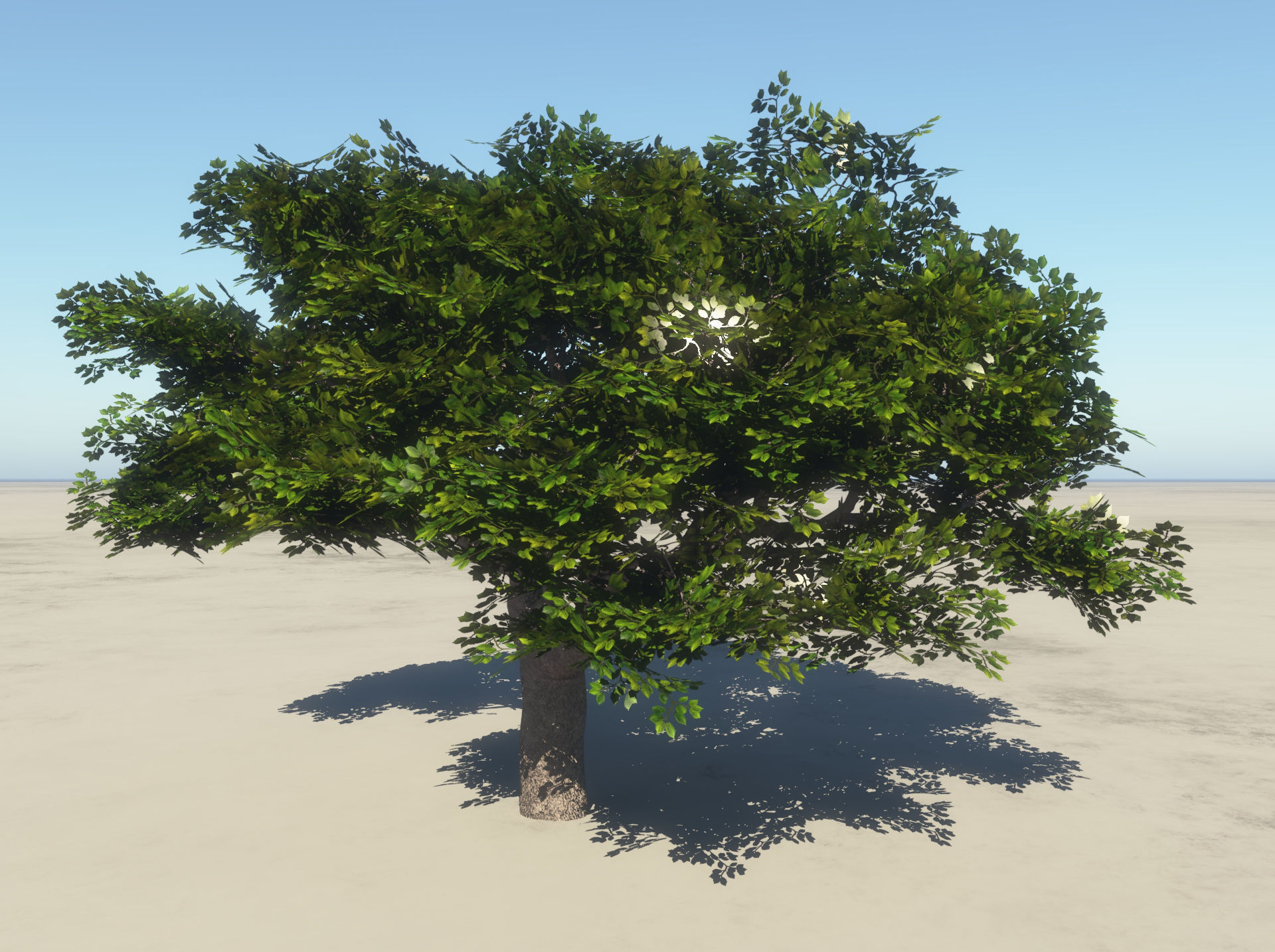 Summer Cherry Tree 2 3D model_1