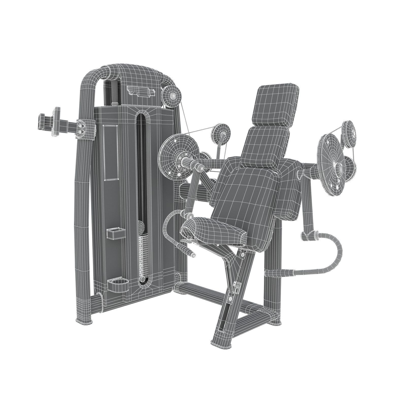 Technogym - Selectorised - Arm Curl 3D Model 3D model_8