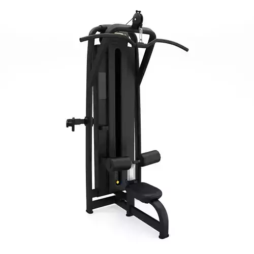 Technogym - Selectorised - Lat Machine 3D model