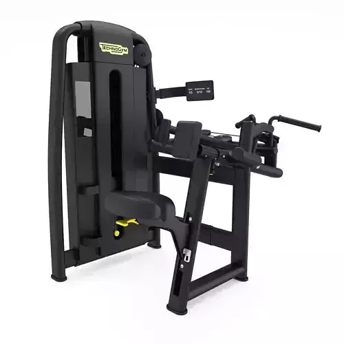 Technogym - Selectorised - Upper Back 3D model