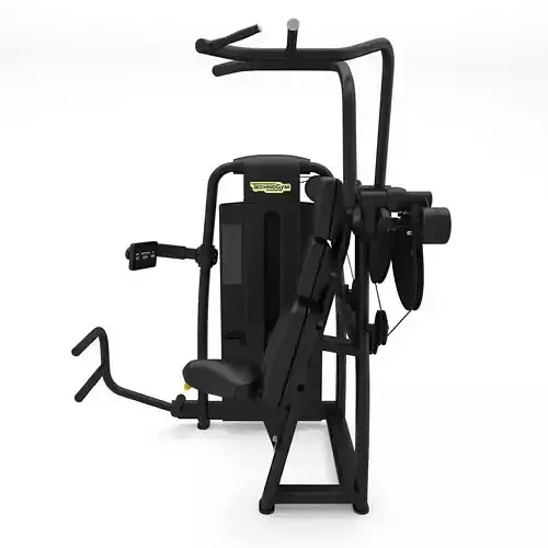 Technogym - Selectorised - Vertical Traction 3D model