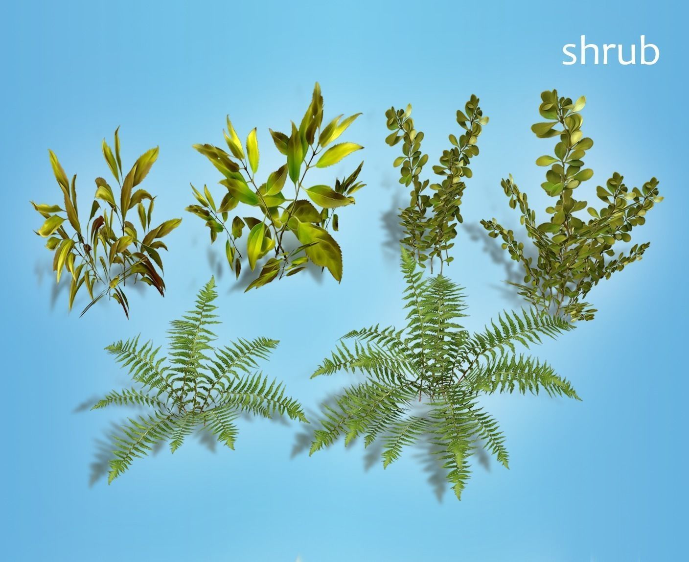 flowers and plants are low poly 25 objects Low-poly 3D model_6