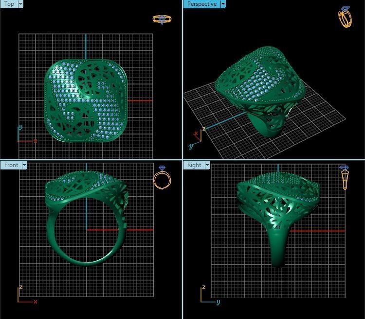 Ring R0255 3D print model_2