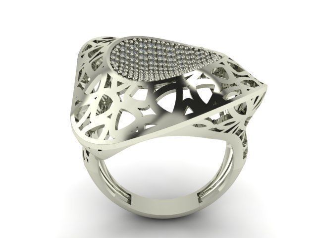 Ring R0256 3D print model_1