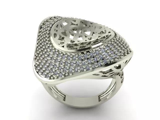 Ring R0257 3D print model_0