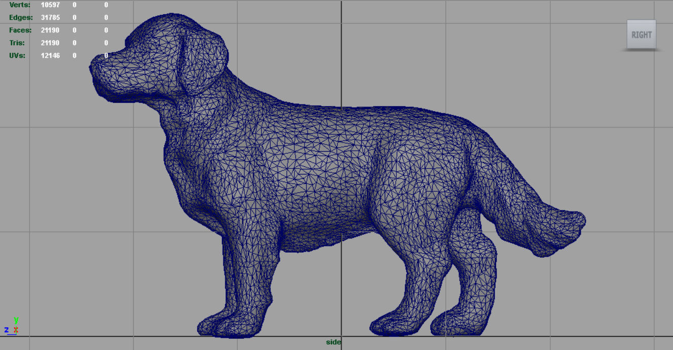 Labrador Retriever Low-poly 3D model_12