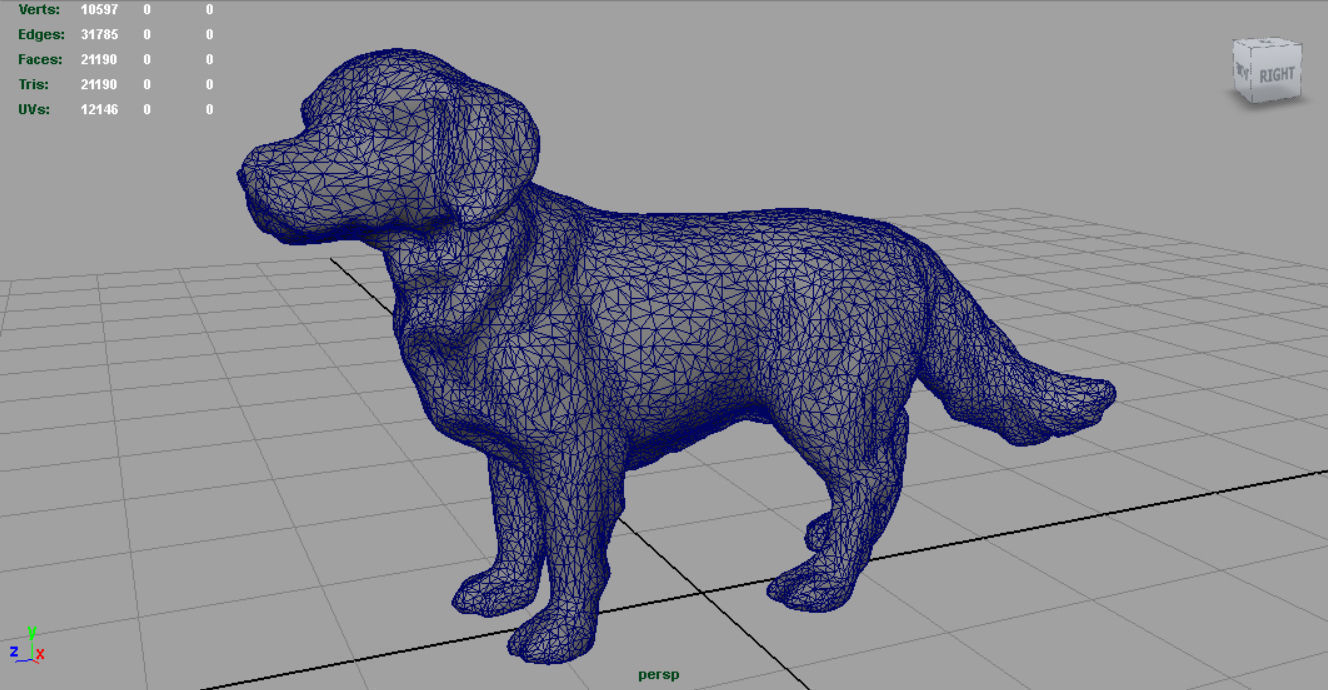 Labrador Retriever Low-poly 3D model_4