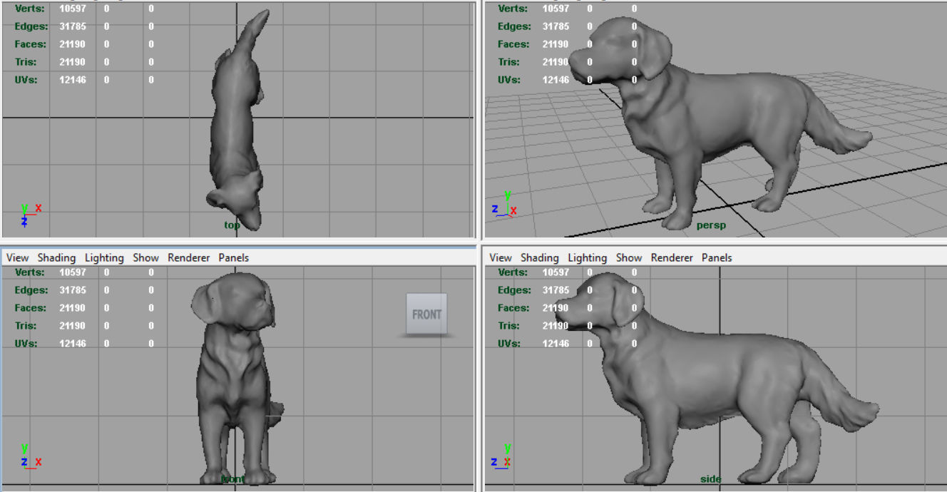 Labrador Retriever Low-poly 3D model_7