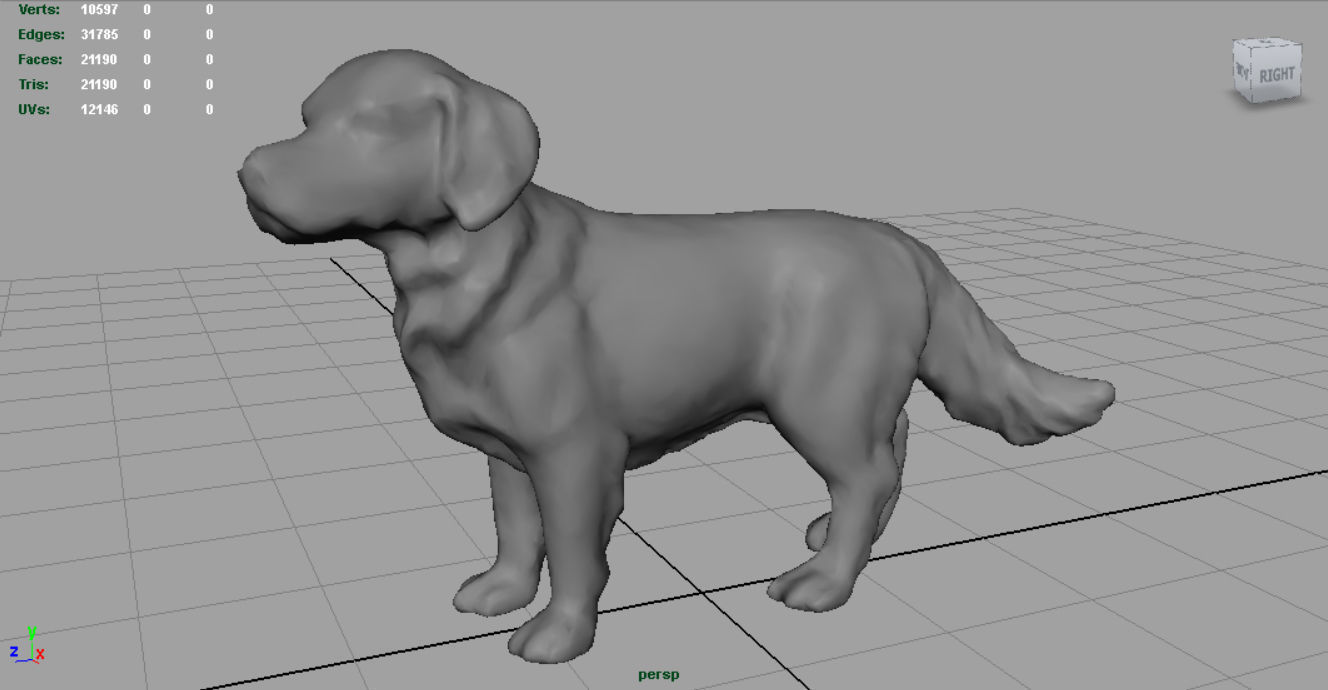 Labrador Retriever Low-poly 3D model_2