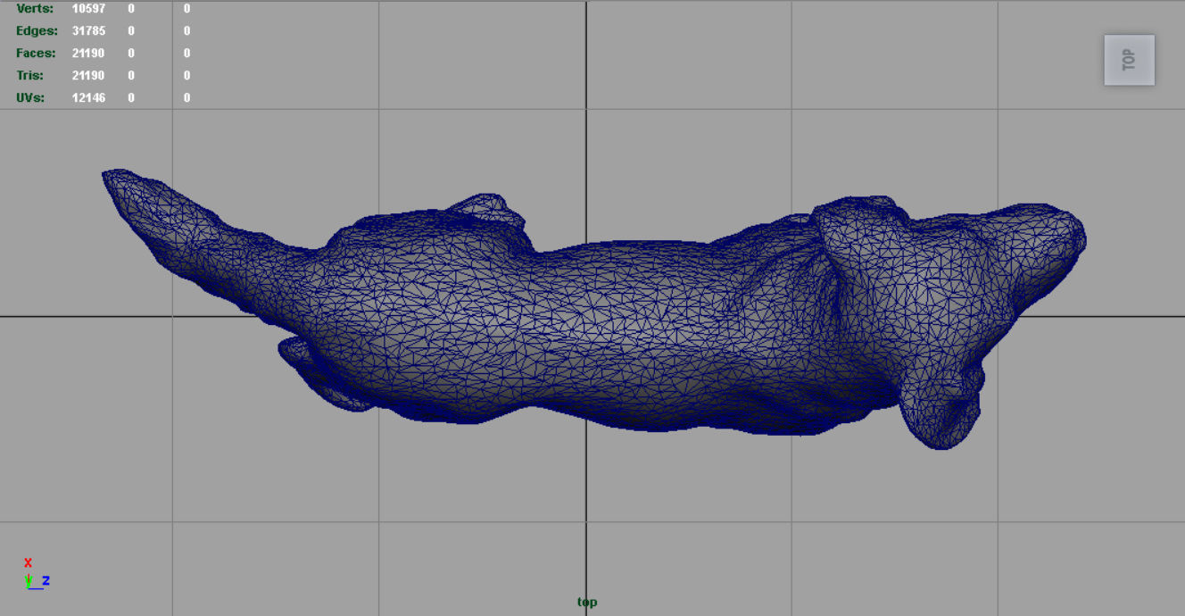 Labrador Retriever Low-poly 3D model_10