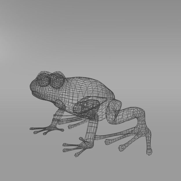 Amazonian Frog Low-poly 3D model_4