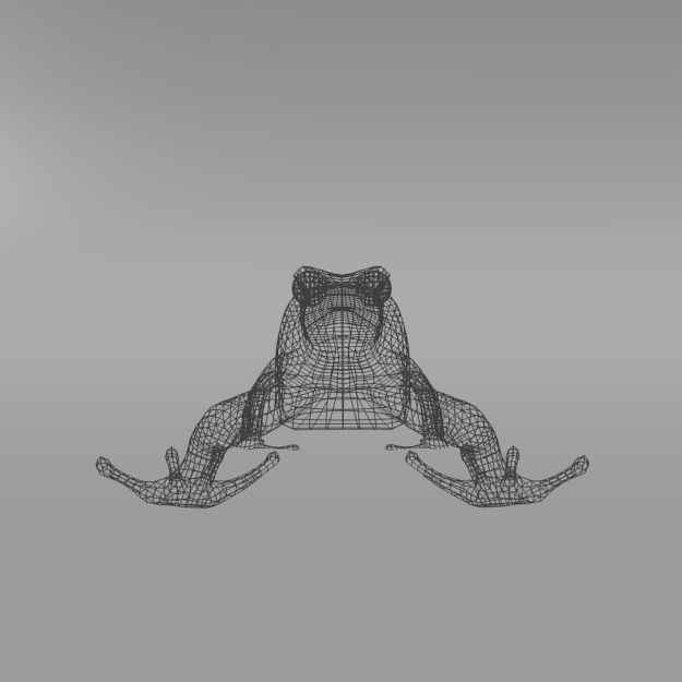 Amazonian Frog Low-poly 3D model_6