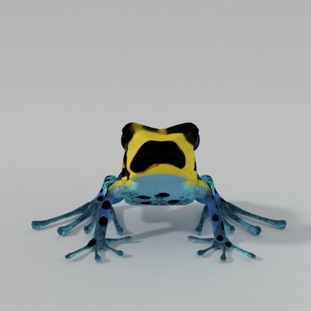 Amazonian Frog Low-poly 3D model_1