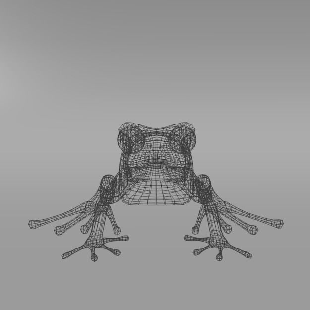 Amazonian Frog Low-poly 3D model_2