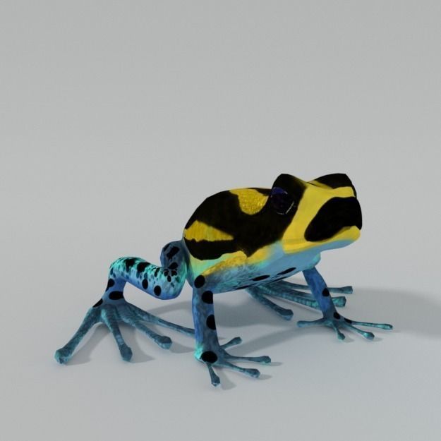 Amazonian Frog Low-poly 3D model_0