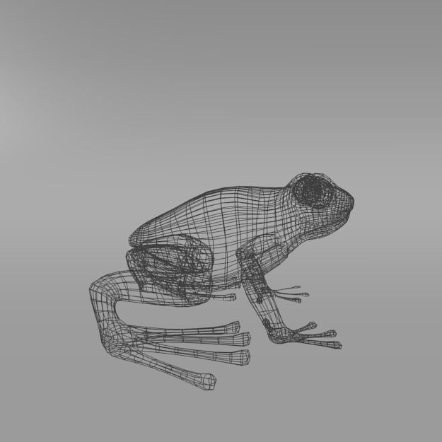 Amazonian Frog Low-poly 3D model_7