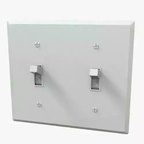 Double Light Switch