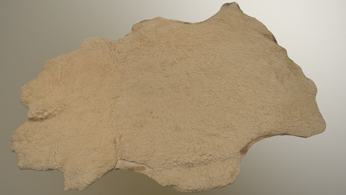 Sheep Hide Rug Low-poly 3D model