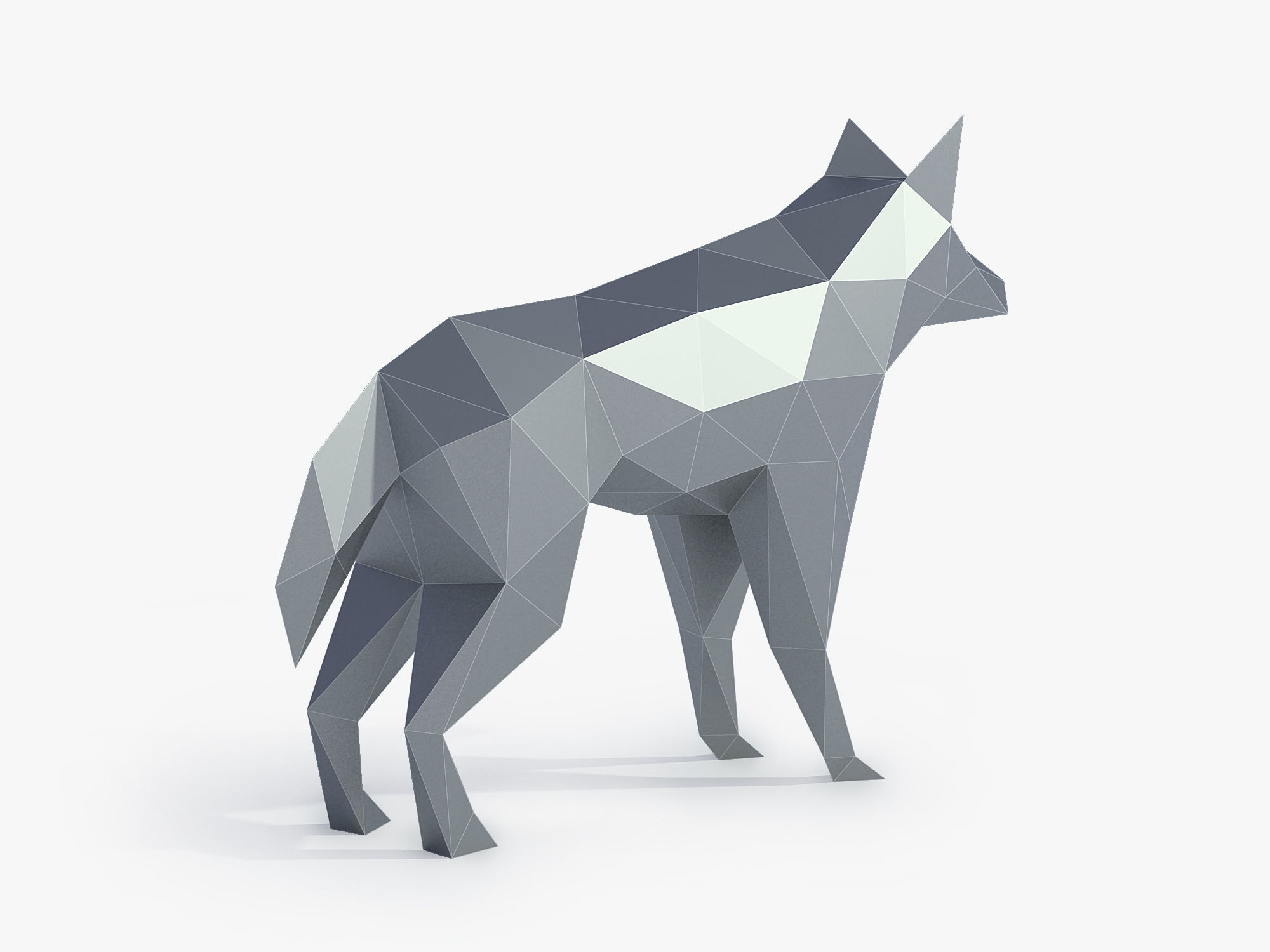 Low Poly Wolf in polygons Low-poly 3D model_5