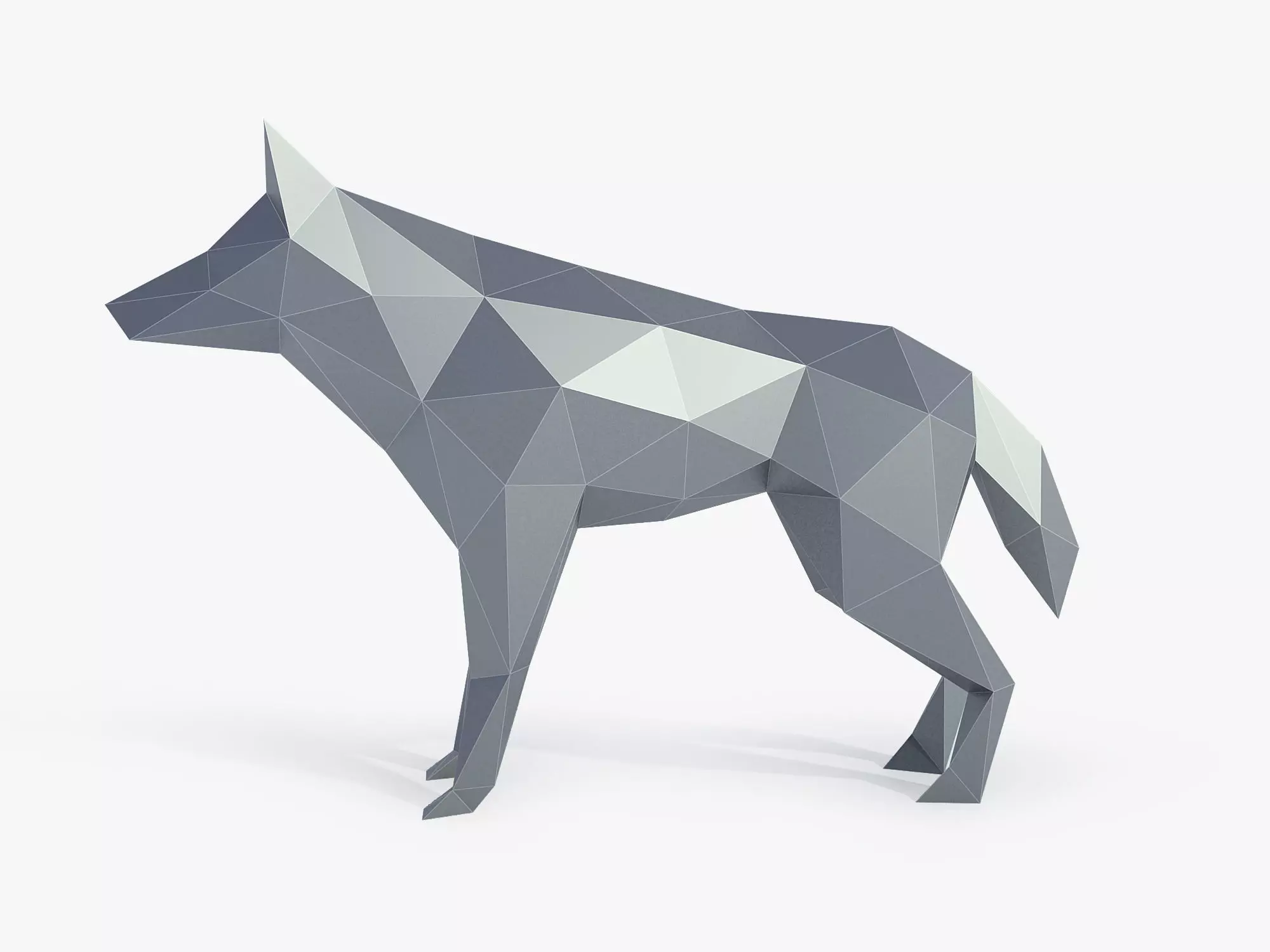 Low Poly Wolf in polygons Low-poly 3D model_0