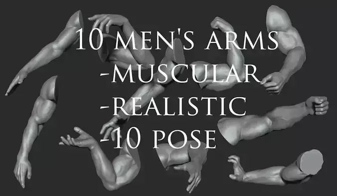 10 Mens Muscular Arms  3D model