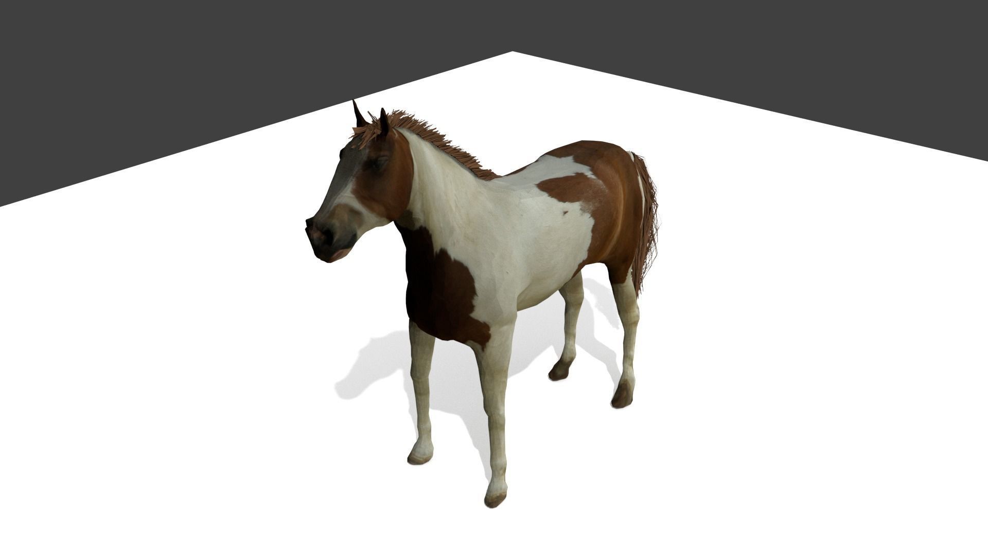 Detailed Paint Horse - Pinto 3D model_0