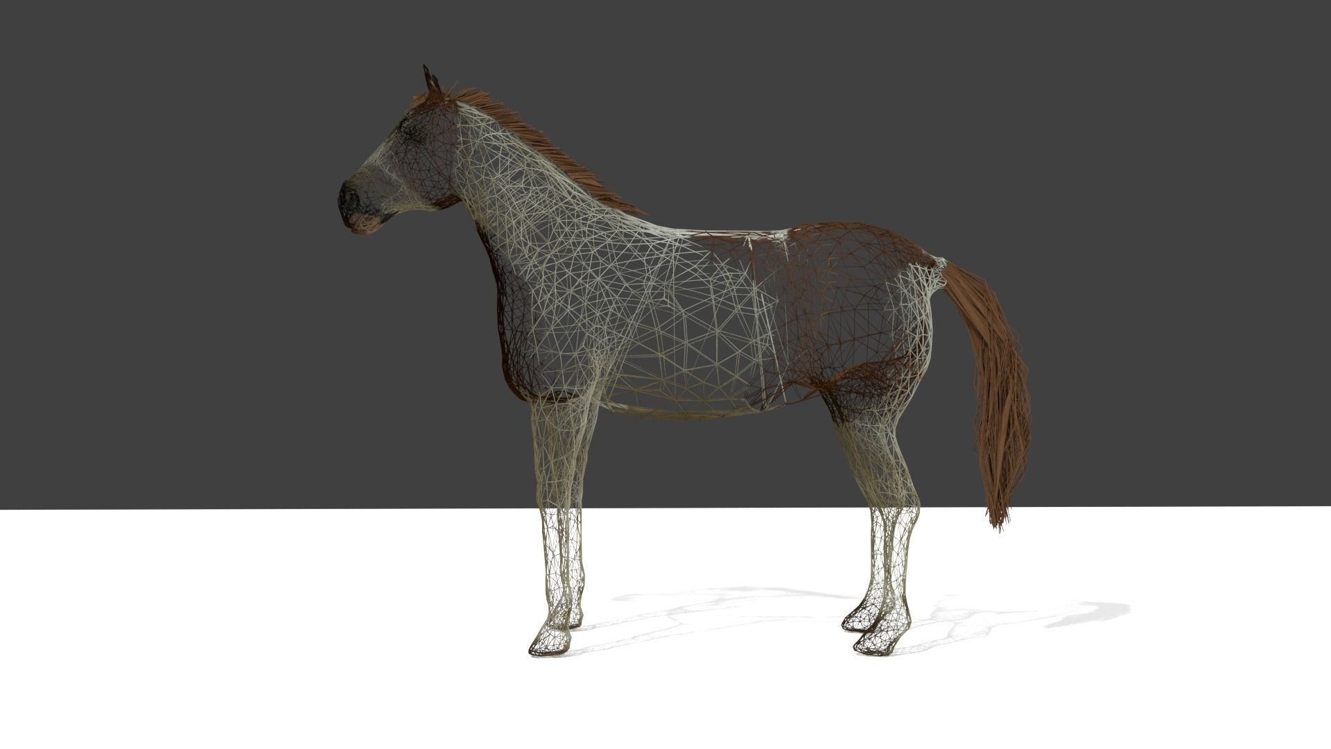 Detailed Paint Horse - Pinto 3D model_5