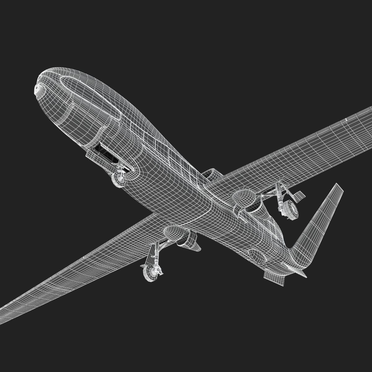 Northrop Grumman RQ-4 Global Hawk Aircraft 3D model_21